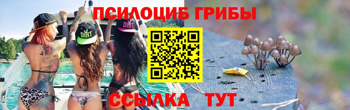 Ейск  Галлюциногенные грибы MAGIC MUSHROOMS  купить наркоту  Вход с VPN 